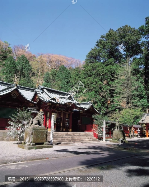 去日本旅行