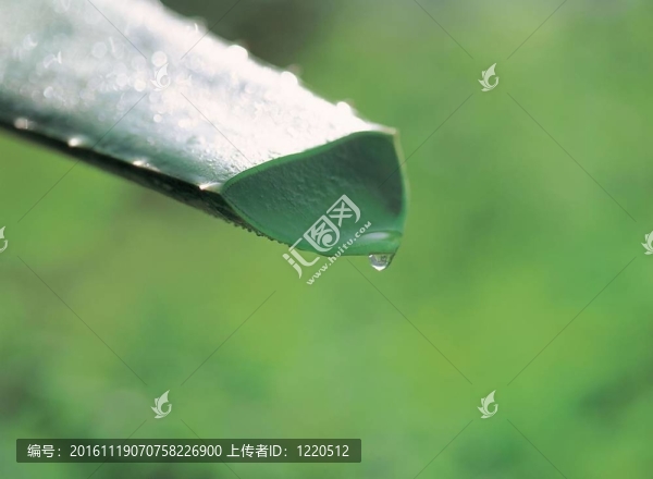 季節(jié)性的觀點(diǎn)