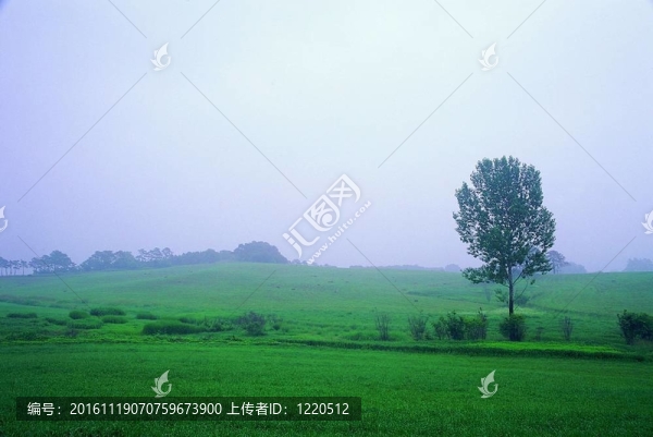 場景