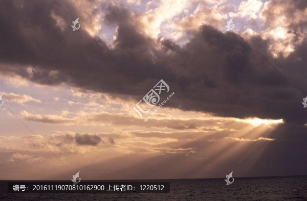 漂亮的海