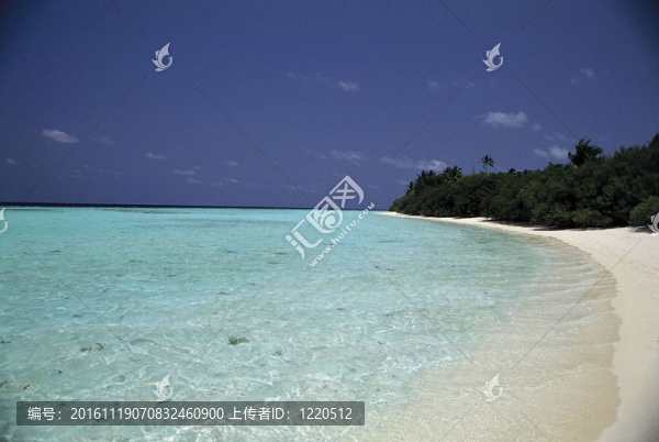 漂亮的海