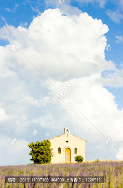薰衣草田的教堂；瓦朗索爾高原；普羅旺斯；弗蘭