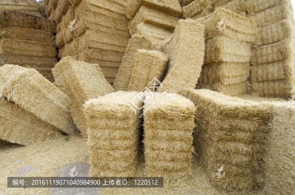 稻草
