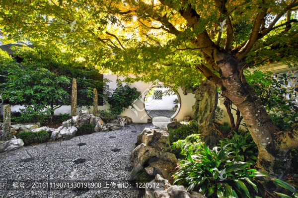 中國的花園庭院