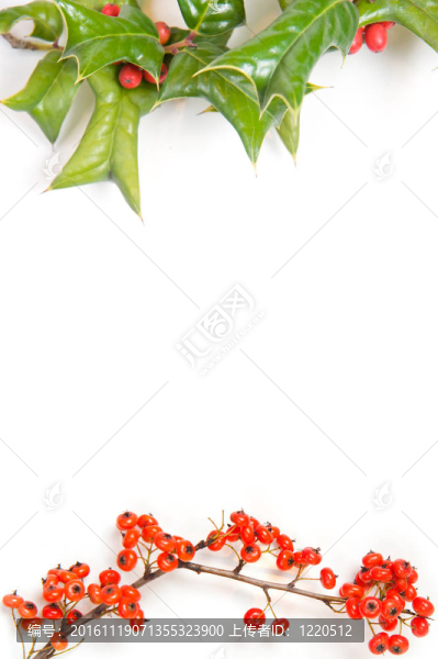 圣誕節(jié)的綠色框架