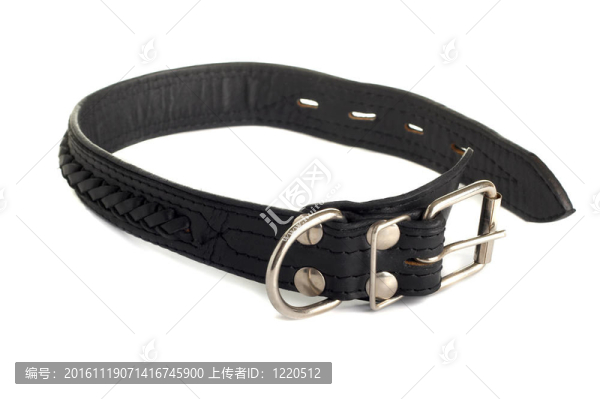 帶狗散步的衣領