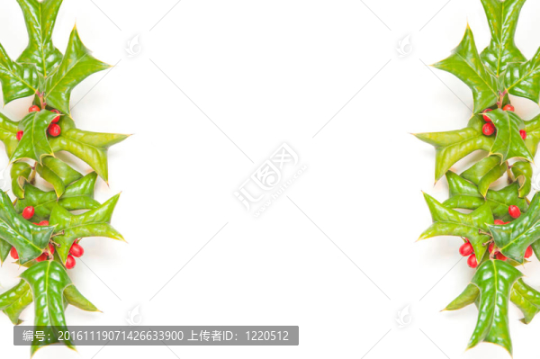 圣誕節(jié)的綠色框架