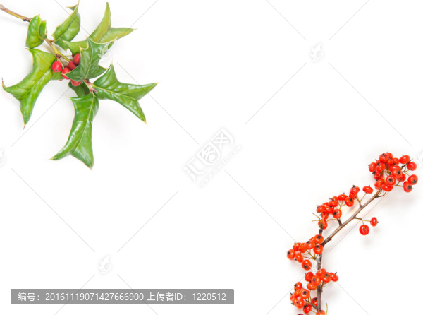 圣誕節(jié)的綠色框架