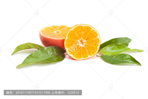 橘子收成時(shí)