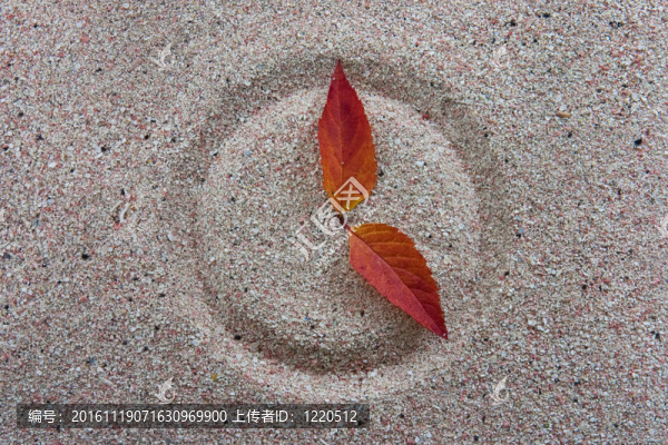 時(shí)鐘