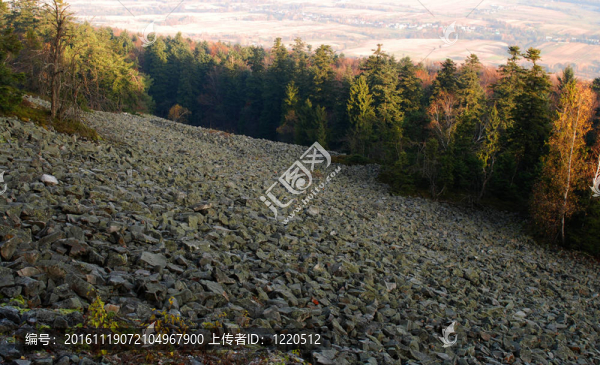 goloborze禿頭山的山坡上