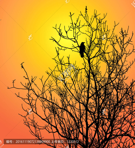 背景太陽樹上的一只鳥