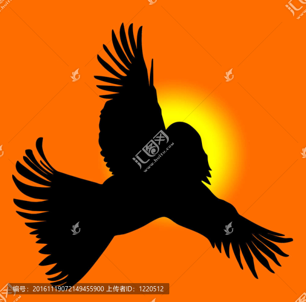 鳥的輪廓
