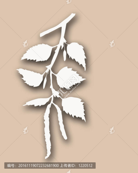 灰色背景上的白枝