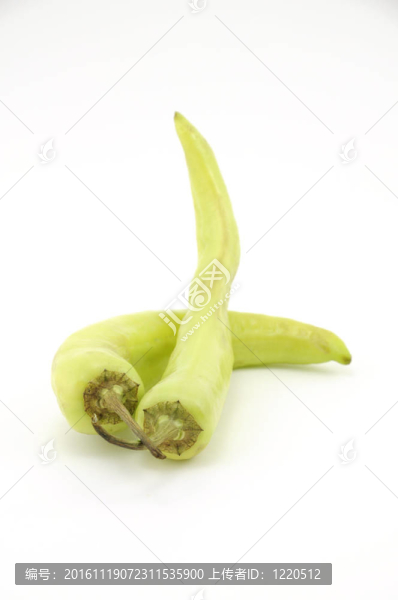 一對香蕉椒；也許在愛情中。香蕉椒甜，有時(shí)熱。辣椒家族成員。