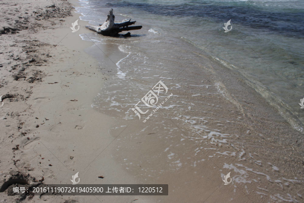 海的南部-匯圖網(wǎng) www.fosd68.com 海的南部