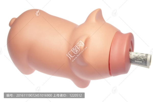 美元貼一個塑料豬鼻子。作品涉及許多概念，包括省錢；花錢；浪費錢；成本一般；等形象是一個工作室鏡頭孤立