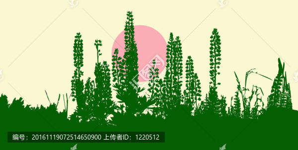野外草藥插圖