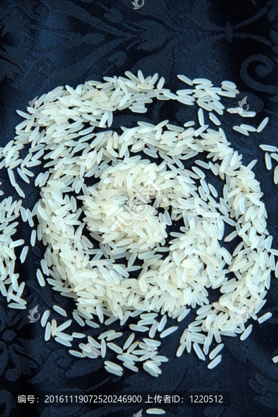 水稻-匯圖網(wǎng) www.fosd68.com 水稻