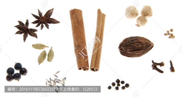 白色背景上分離的各種香料。香料包括：桂皮；八角茴香；丁香；香菜；四川花椒；杜松子；小豆蔻；香；薰衣草