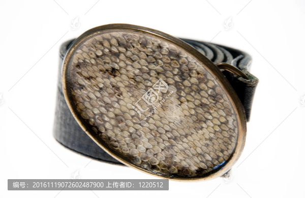 白色背景上隔離的動(dòng)物（蛇）皮帶。