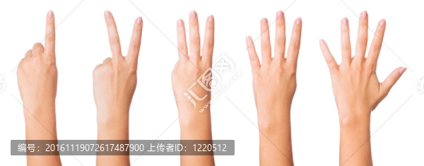 手的跡象