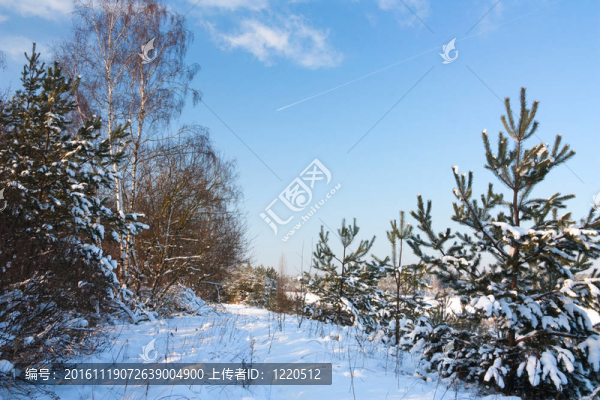 冬季景觀-匯圖網(wǎng) www.fosd68.com 冬季景觀