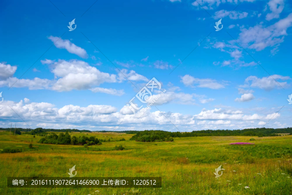 夏天的風(fēng)景