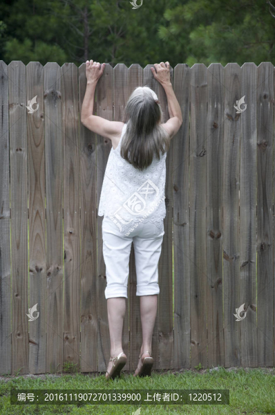 好管閑事的鄰居認為她怎么會越過籬笆偷看。