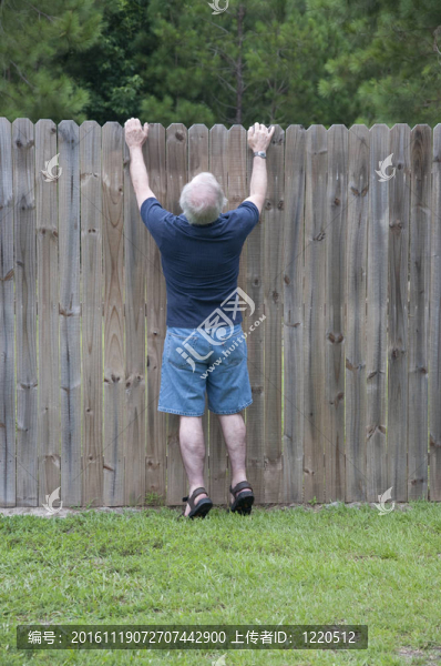 他從柵欄那邊看到鄰居正在做什么！