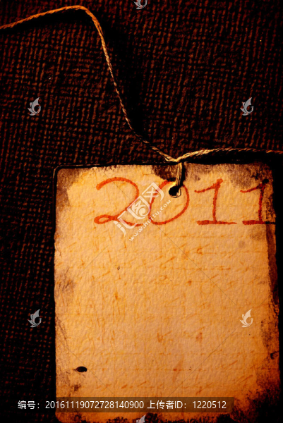 2011年
