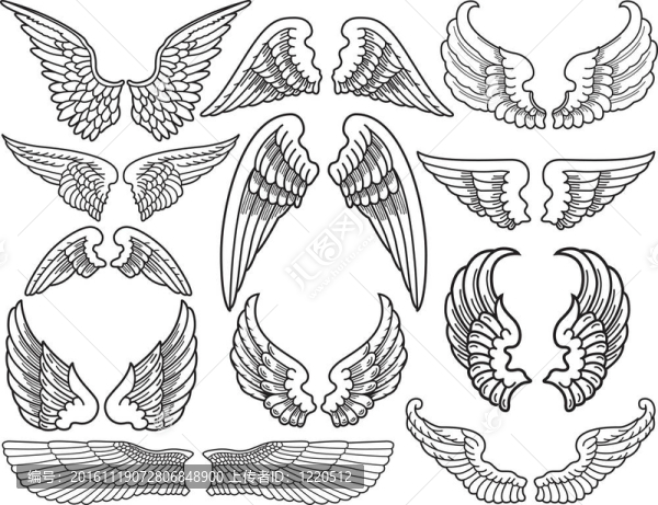 天使的翅膀-匯圖網(wǎng) www.fosd68.com 天使的翅膀