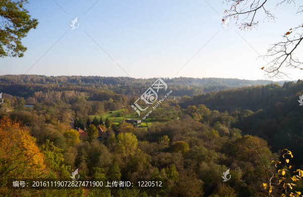 從上面的秋天森林觀