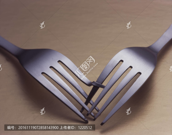 叉的愛(ài)