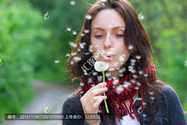 女孩與蒲公英