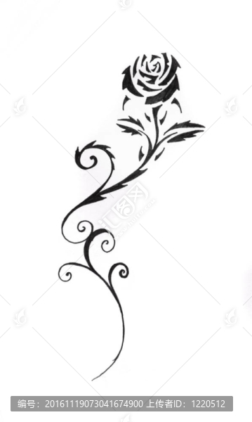 紋身藝術(shù)素描；black,rose