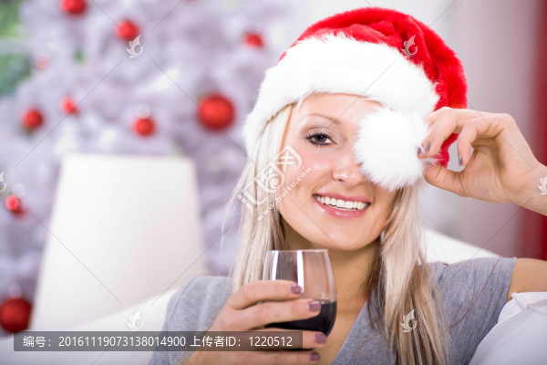 圣誕節(jié)的肖像