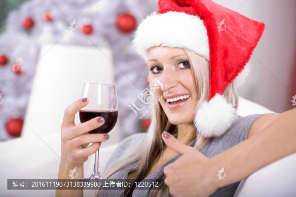 圣誕節(jié)的肖像