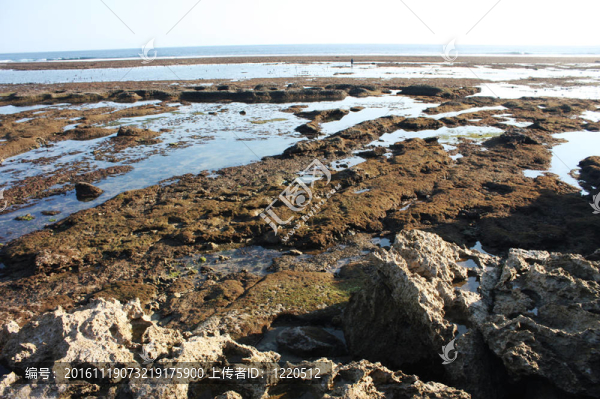 印尼的巖石-匯圖網(wǎng) www.fosd68.com 印尼的巖石