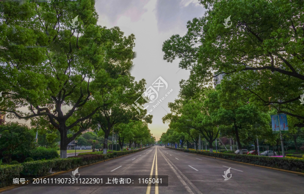 城市公路