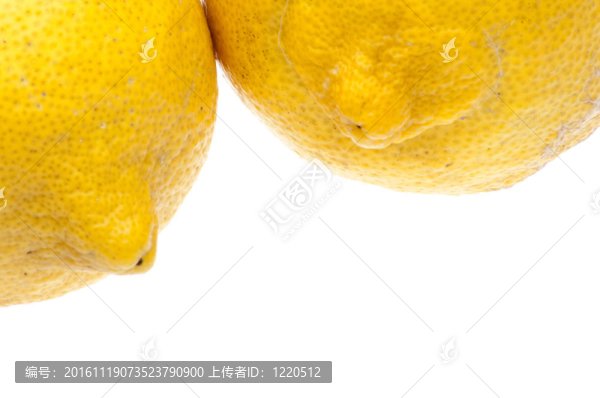 古怪的檸檬邊界-匯圖網(wǎng) www.fosd68.com 古怪的檸檬邊界