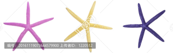 充滿活力的海星三重奏
