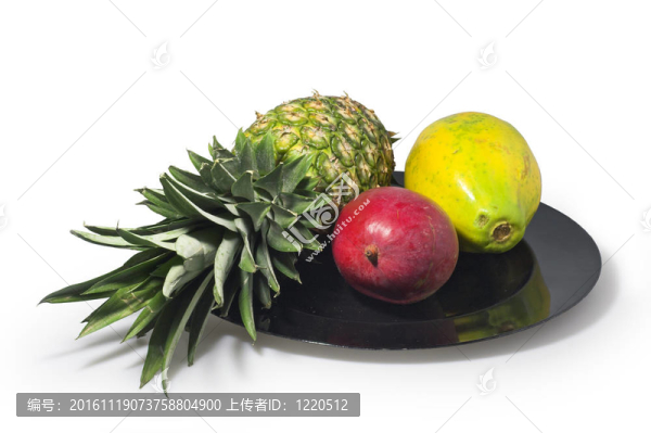 熱帶