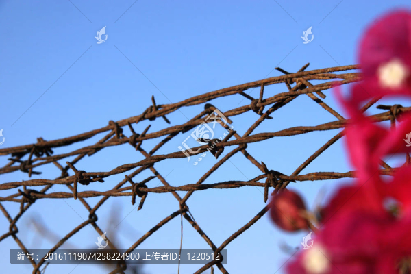 危險(xiǎn)的