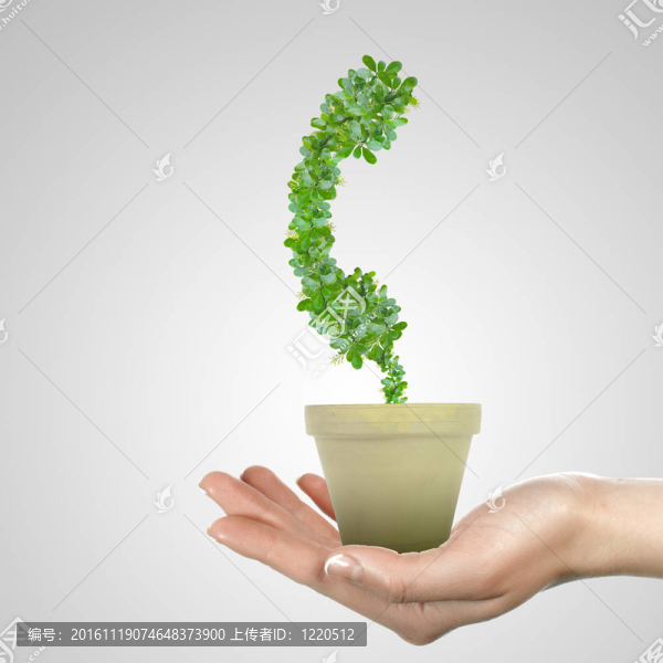 環(huán)境保護(hù)與生態(tài)標(biāo)志