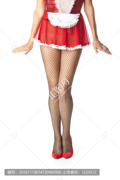 性感少女的腿在魚網襪