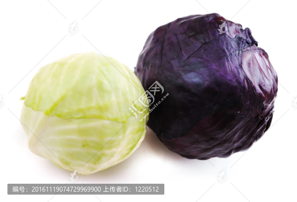 黑白白菜