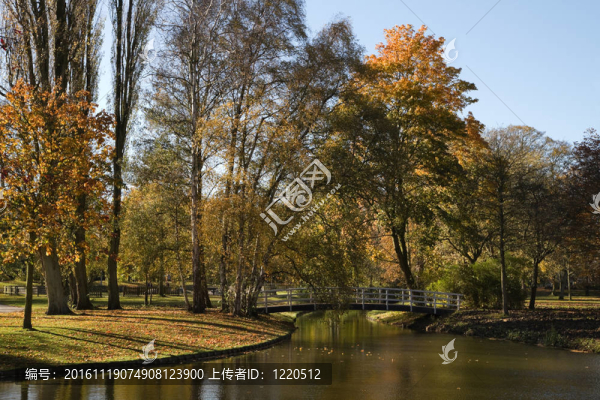 秋天公園里的池塘和白色的橋