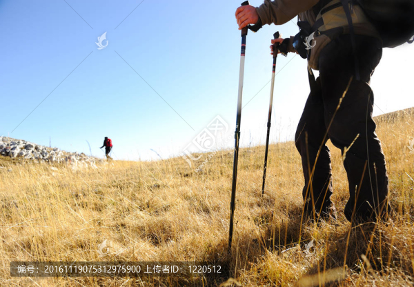 體育山中健行；散步和徒步旅行