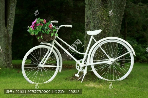 白色的自行車